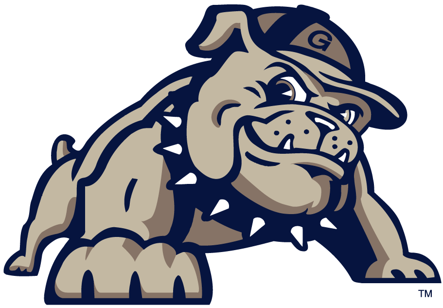 Georgetown Hoyas 0-Pres Alternate Logo diy DTF decal sticker